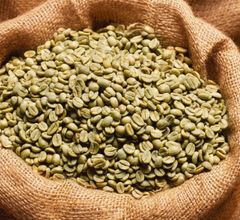 Arabica and Robusta Coffee available for export - Image 1