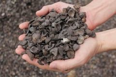 Palm Kernel Shell – product photo 1, product detail gallery