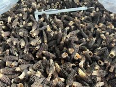 Agricultural and food products - Image 4