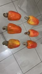 Frozen Cashew Apple - Image 4
