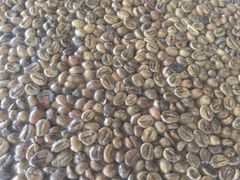 ROBUSTA GREEN COFFEE BEANS SERUNAI 100% Natural Hot Selling Indonesian Best Quality with Reasonable Best Price – product photo 4, product detail gallery