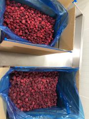IQF FROZEN RASPBERRIES - Image 1