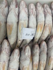 Croaker Fish - Image 3