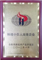 High Technology group company certificate of Anhui I-Sourcing International Co., Ltd. – certificate photo, supplier certificates section