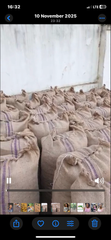Dried Cocoa Beans - Image 1