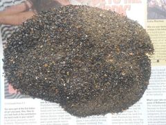 Horn Hooves Crush For Fertiliser - Image 3