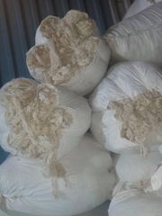 Raw cotton - Image 2