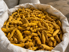 Indian Turmeric Finger and Powder – Export Grade - Image 1