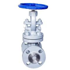 J41h-16c Cast Iron Globe Valve DN50 16kgs GB Manual 1Y Size DN50 Standard GB Origin China Pressure 16kgs Trademark HOMOR - Wenzhou Homor International Trade Co., Ltd.