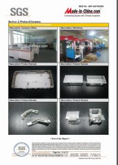 SGS Audit report certificate from Dongguan Quality Innovation and Technology Co., Ltd