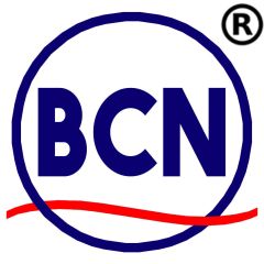 Shanghai Bicen Machinery Co., Ltd.