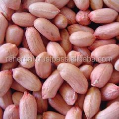 PEANUT OIL EXTRA VIRGIN 2022 CROP – product photo 5, product detail gallery