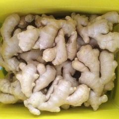 Fresh and Delicious Ginger, Aged Ginger, for Culinary Use As a Seasoning. +255787979235 - Image 2