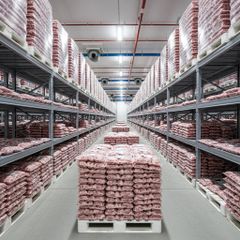 Frozen Chicken Hearts Protein Rich Poultry Component With Fresh Frozen Preservation And Trusted Supply – product photo 2, product detail gallery