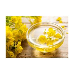Refined canola oil offered in stock for cooking and food processing industries - Image 3