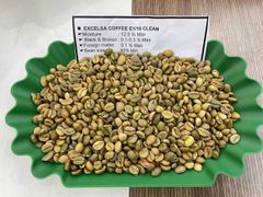 EXCELSA COFFEE E1/16 CLEAN - Image 1