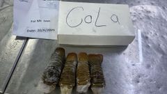  lobster tails – product photo 5, product detail gallery