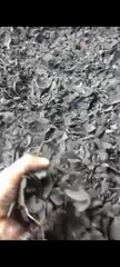 Coconut Shell Charcoal – product photo 5, product detail gallery