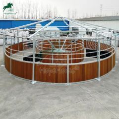 Equestrian Conditioning Equipment for Horses - Image 1