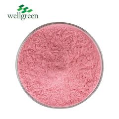 Wellgreen Fruit Powder Strawberry Juice Powder Strawberry Powder - Image 3