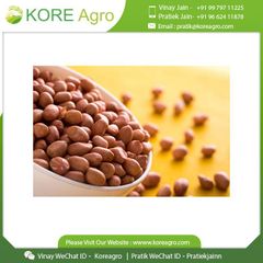 Best Pure Natural Dried Java Peanuts 100% Raw Quality Ground Nuts Peanuts Buy At Low Price - Image 6