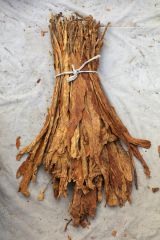 Tobacco Leaf - Image 4