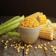 Top Grade Yellow Corn Maize 25kg 50kg Clean Whole Kernels Rich Energy Content Perfect For Animal Feed Processing And Industrial Supply Buy Now Fast Delivery Premium Quality Wholesale - Image 5