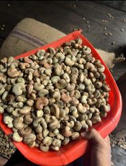 Premium Tanzanian Cashew Nuts – product photo 1, product detail gallery