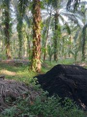 100% Palm Oil Fuel Ash (POFA) / Sustainable Raw Materials for Your Green Building Industry - Image 3
