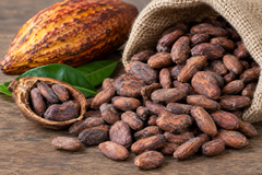 cocoa beans, cocoa powder, cocoa butter - Image 1