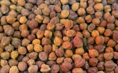 Chickpeas Brown – product photo 5, product detail gallery