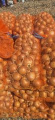 Fresh Onion – product photo 2, product detail gallery