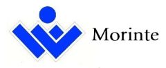 Jinan Morinte Machinery Co., Ltd.