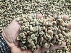 Coffee beans Arabica and Robusta from Kenya  Origin Kenya Bean Type Arabica And Robusta Quality Assurance Handpicked For - Image 1