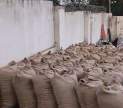 Dried cocoa beans - Image 1
