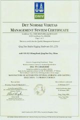 Det Norske Veritas Management Syetem Certificate (DNV) certificate from Qingdao Haito Rigging Hardware Co., Ltd.