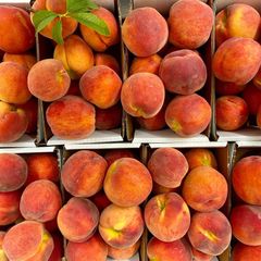 Fresh South African Quality Peaches Organic Yes Color Yellow Origin South Africa Flavor Sweet And Aromatic Packaging Customized Packaging - Image 1