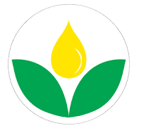 Primex Oil LLC