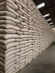 white maize (NON-GMO) - Image 2