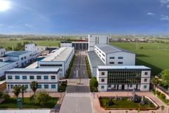 Factory Supply High Quality Piper Nigrum Extract Black Pepper Ground Powder Extract 10%-98% Piperine - Image 5