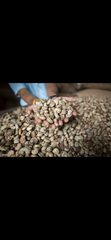 Cashew nuts – product photo 2, product detail gallery