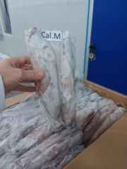 HIGHLY VALUED SEA FROZEN WHOLE SQUID(LOLIGO VULGARIS) CLEANED SQUID SLIGHTLY SWEET FLAVOR 20KG CARTONS ON SALE - Image 1