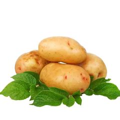 Export Quality Fresh Potato Natural Vegetables Fresh farm healthy Potatoes at Low Prices Wholesale – product photo 2, product detail gallery
