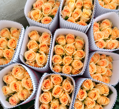 Premium Roses – Hosur (All Colours) - Image 4