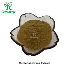 Premium Herbal Extract for Wellness Support Cuttlefish Grass Extract Powder - Changsha Rokey Biotechnology Co., Ltd.