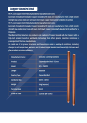 Conventional Lightning Arresters Color Golden Pack Type Box Warranty 1 Year Rated Voltage 33kV Rated Current 10kA Certification IEC - Image 10