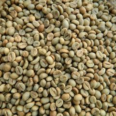 Vietnam green coffee beans arabica Robusta wet polished – product photo 1, product detail gallery