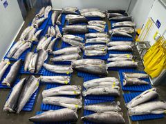 Swordfish Loins 2.5 - 6kg - Image 1