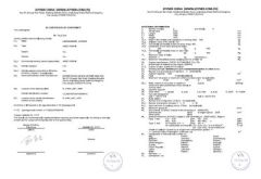 EEC 1100CC BUGGY certificate of Shanghai Lannmarker Industrial Co., Ltd. – certificate photo, supplier certificates section