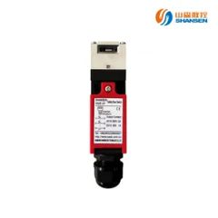 Ss E 07 Industrial Safety Limit Switch for Protective Doors - Shandong Shansen Cnc Technology Co., Ltd